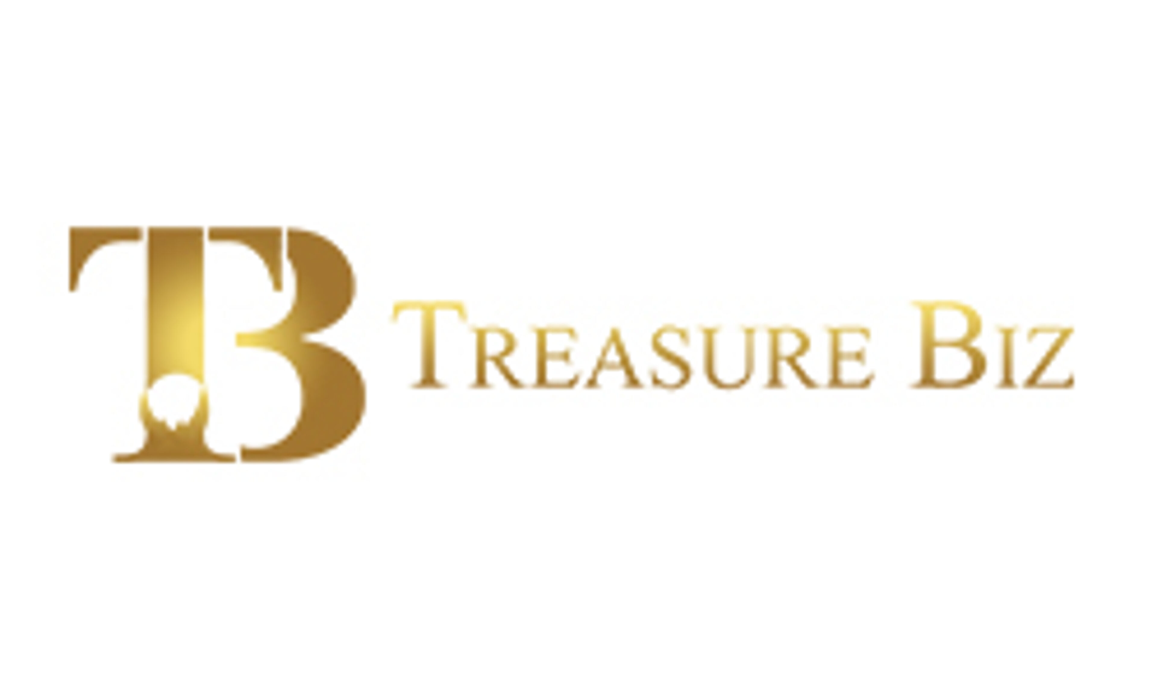 treasurebiz.com