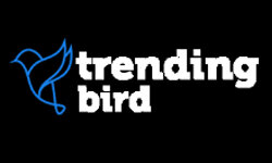 trendingbird.net