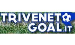 Гол Тривенето (trivenetogoal.it)