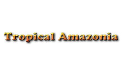 tropicalamazonia.com