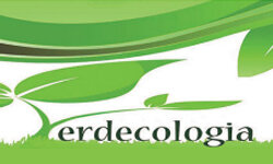 verdecologia.it
