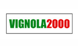 vignola2000.it