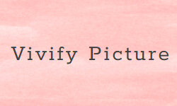vivifypicture.com