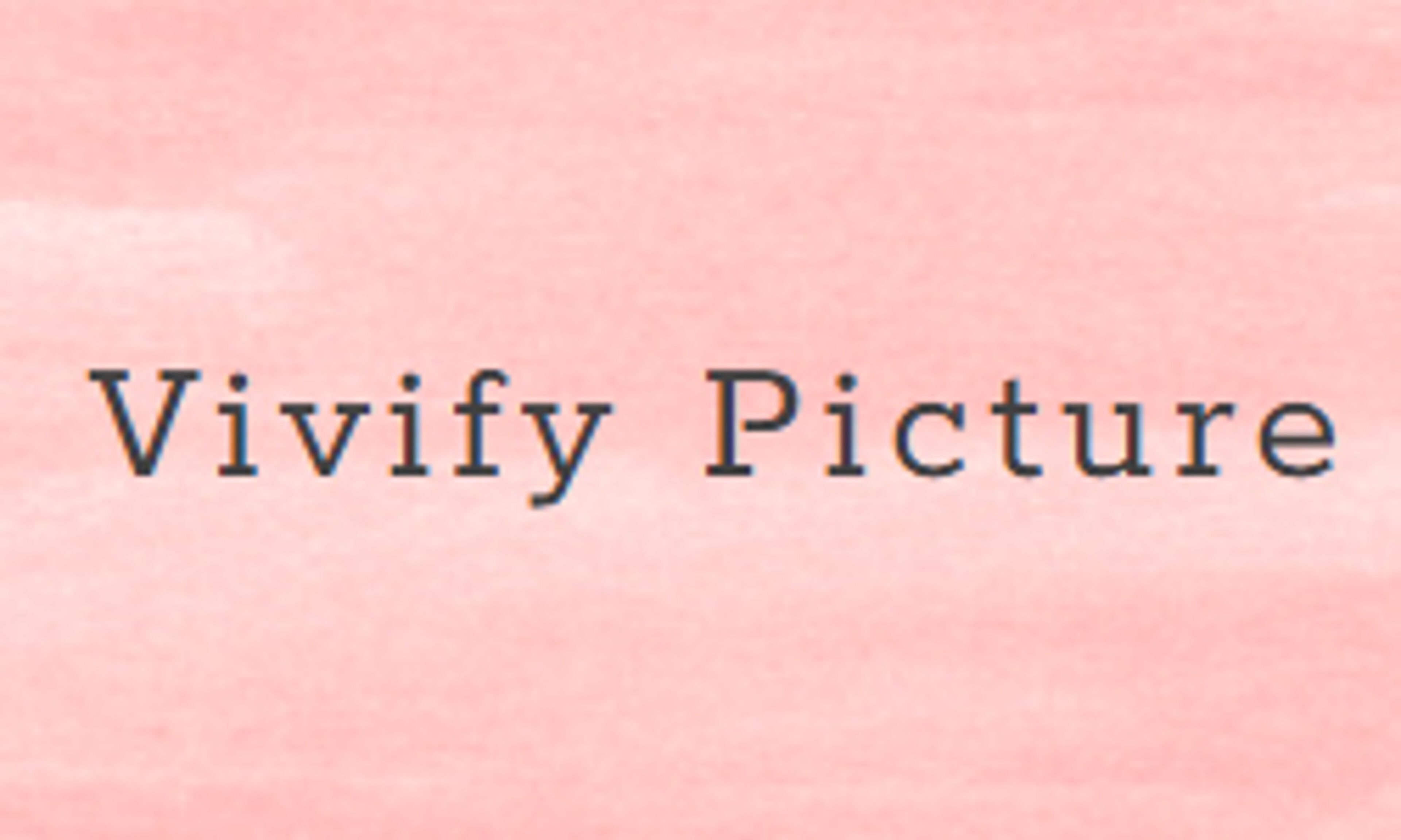 vivifypicture.com