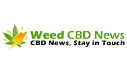 weedcbdnews.com