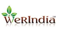 Kto Indie (werindia.com)