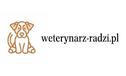 weterynarz-radzi.pl