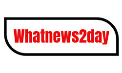 whatnews2day.com