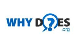 Kodėl taip (whydoes.org)