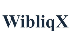 wibliqx.com