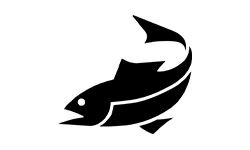 Wobler (wobler.com.ua)