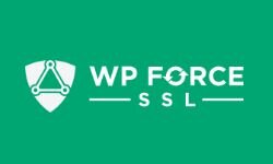 WP erzwingt SSL (wpforcessl.com)