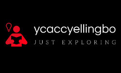 ycaccyellingbo.com