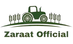 zaraatofficial.com