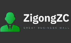 zigongzc.com