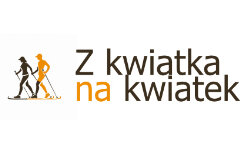 zkwiatkanakwiatek.org
