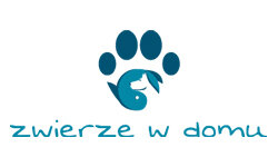 zwierzewdomu.com