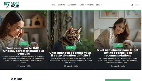 adopcje.org