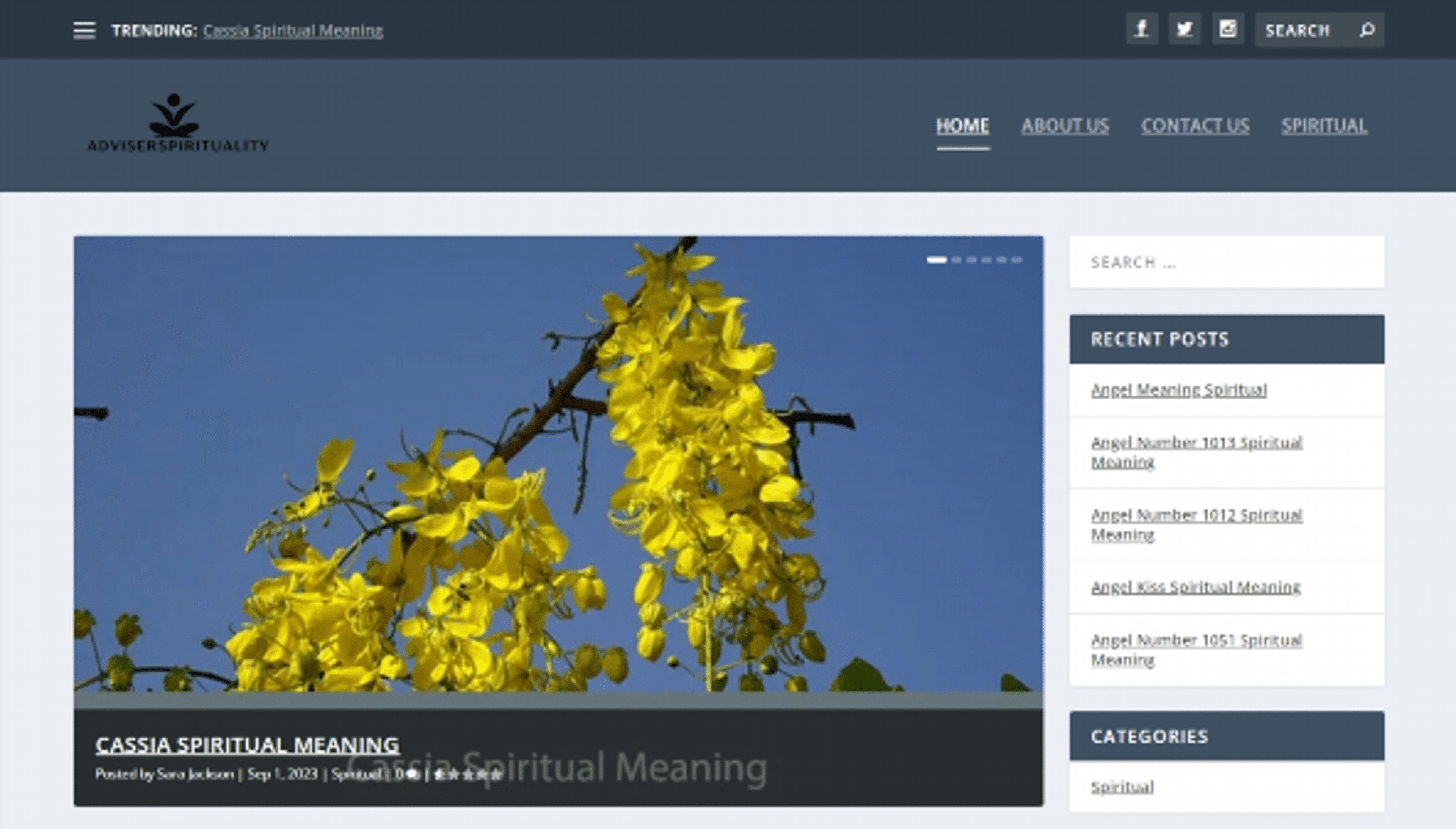 adviserspirituality.com