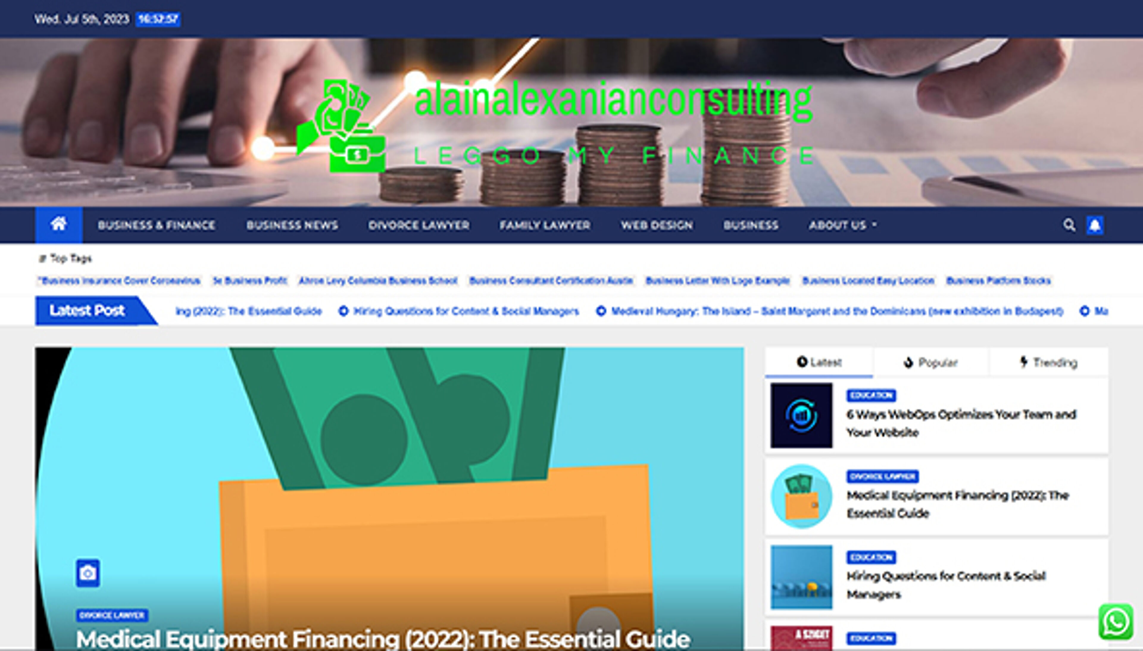 alainalexanianconsulting.com