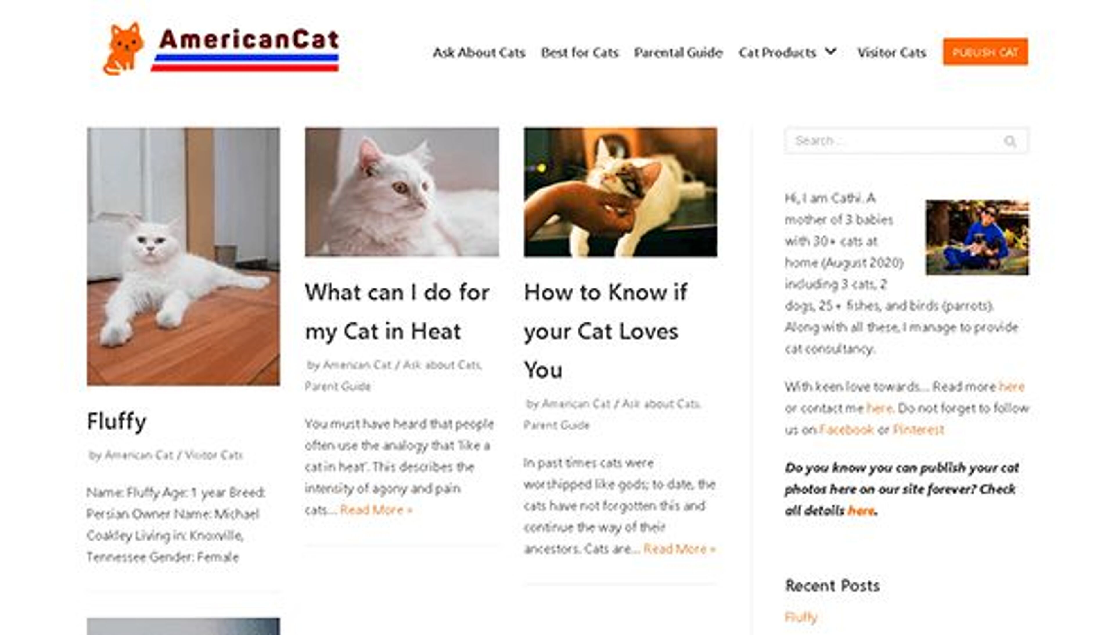 Amerikai macska (americancat.net)