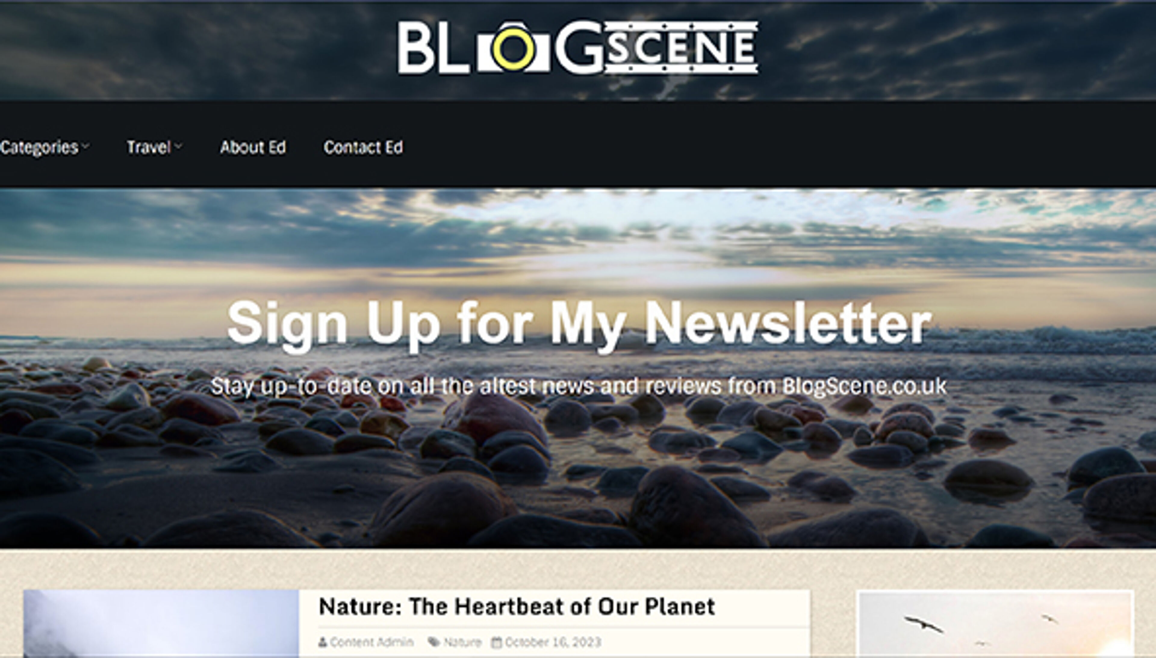 Scena del blog (blogscene.co.uk)