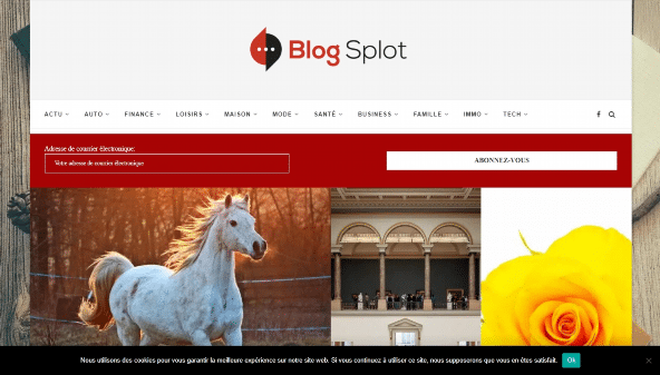 blogsplot.net