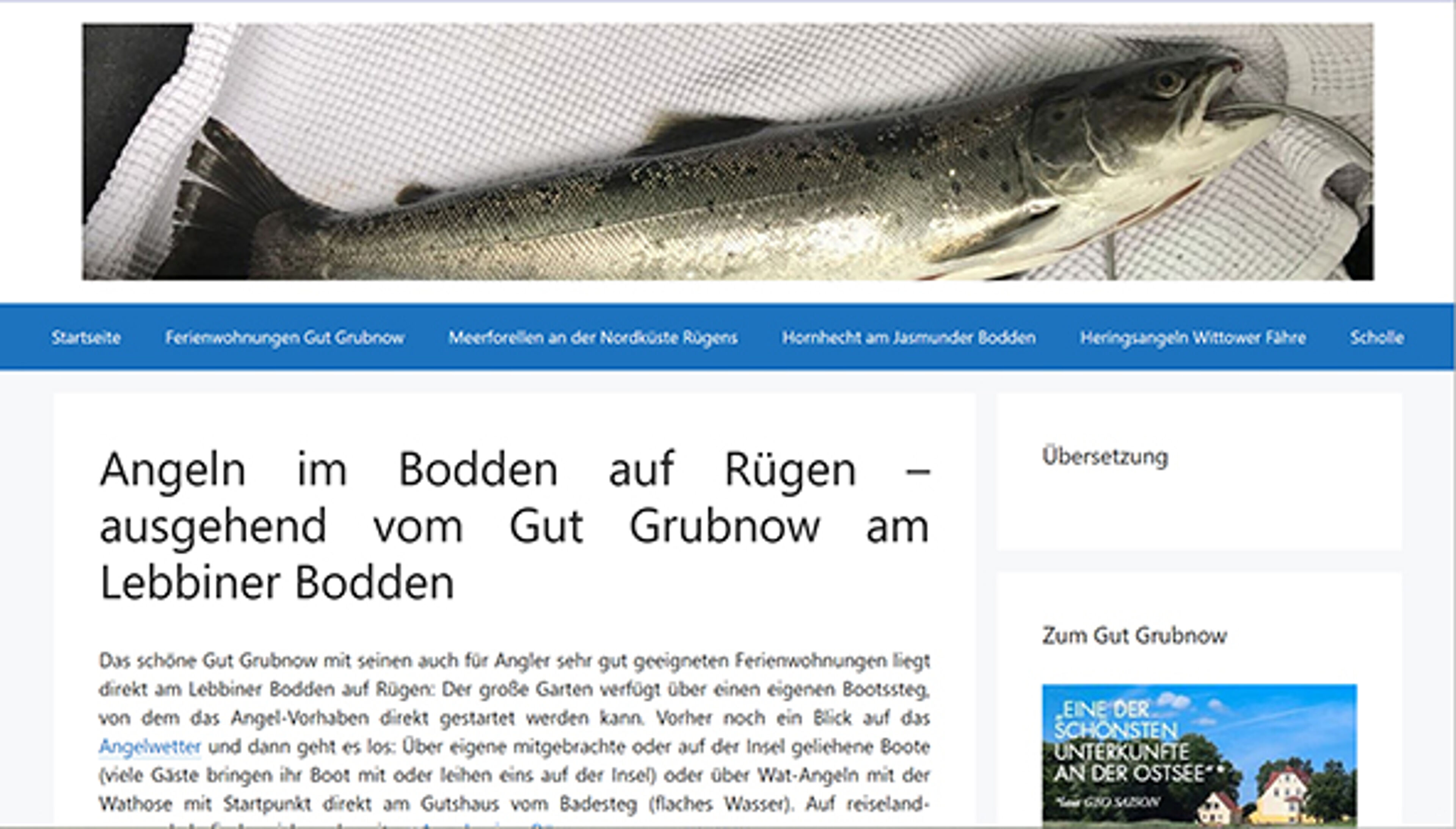 boddenangeln-ruegen.de
