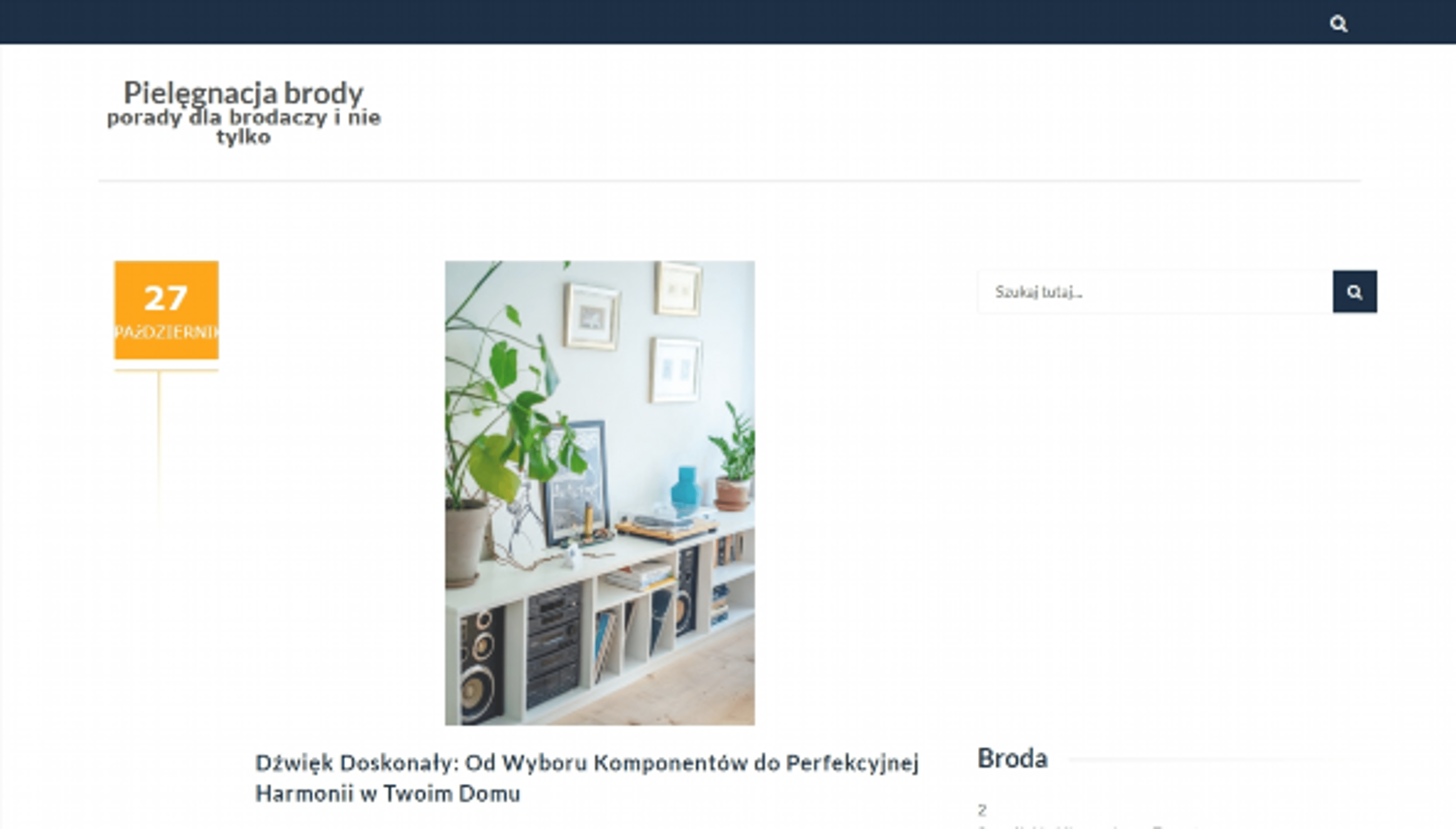bronsy.pl