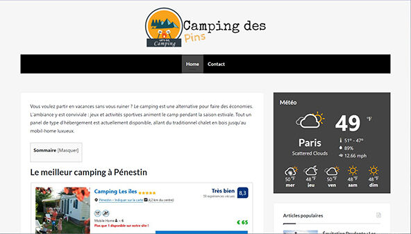 camping-despins.com