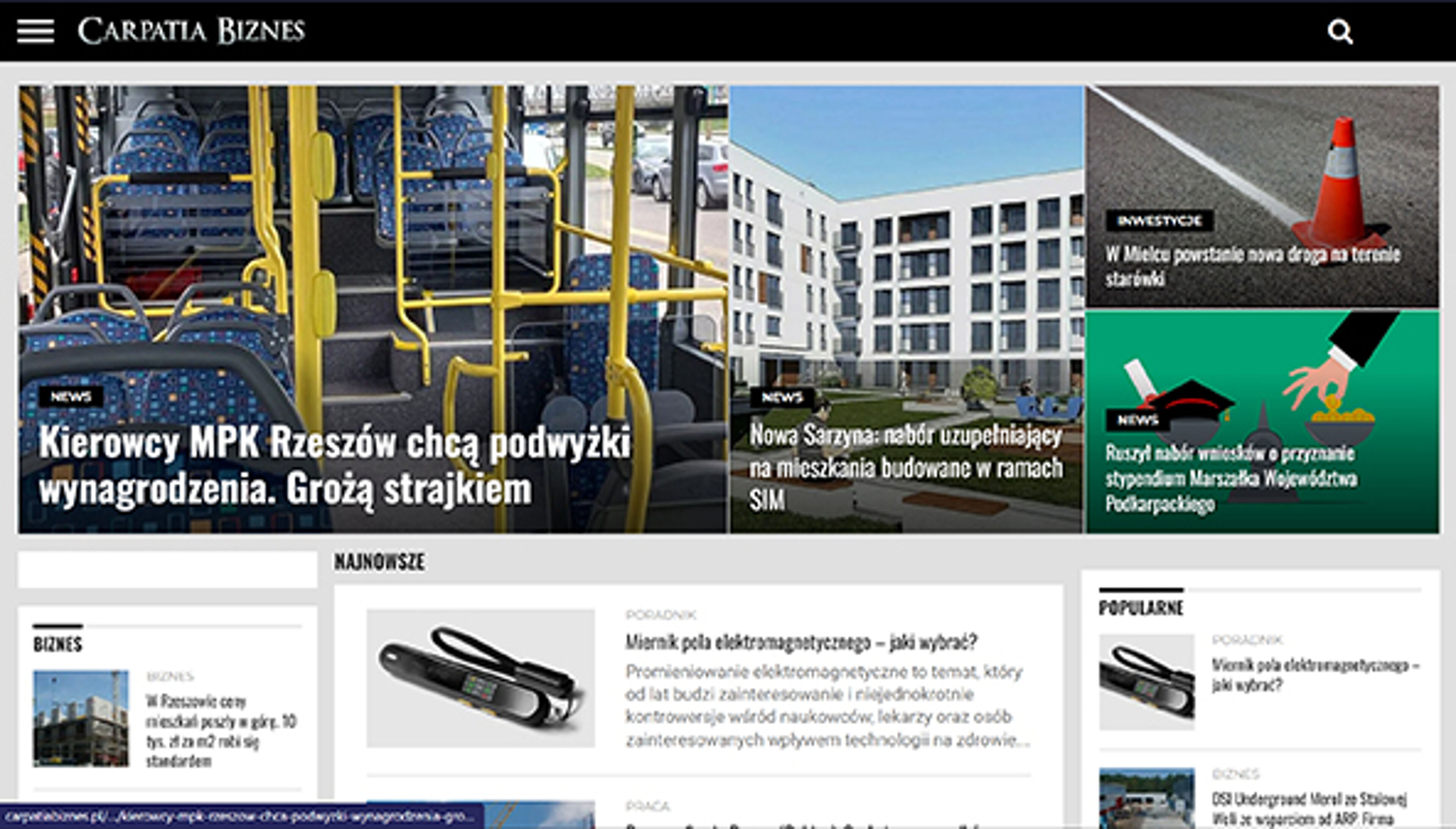 Carpatia virksomhet (carpatiabiznes.pl)