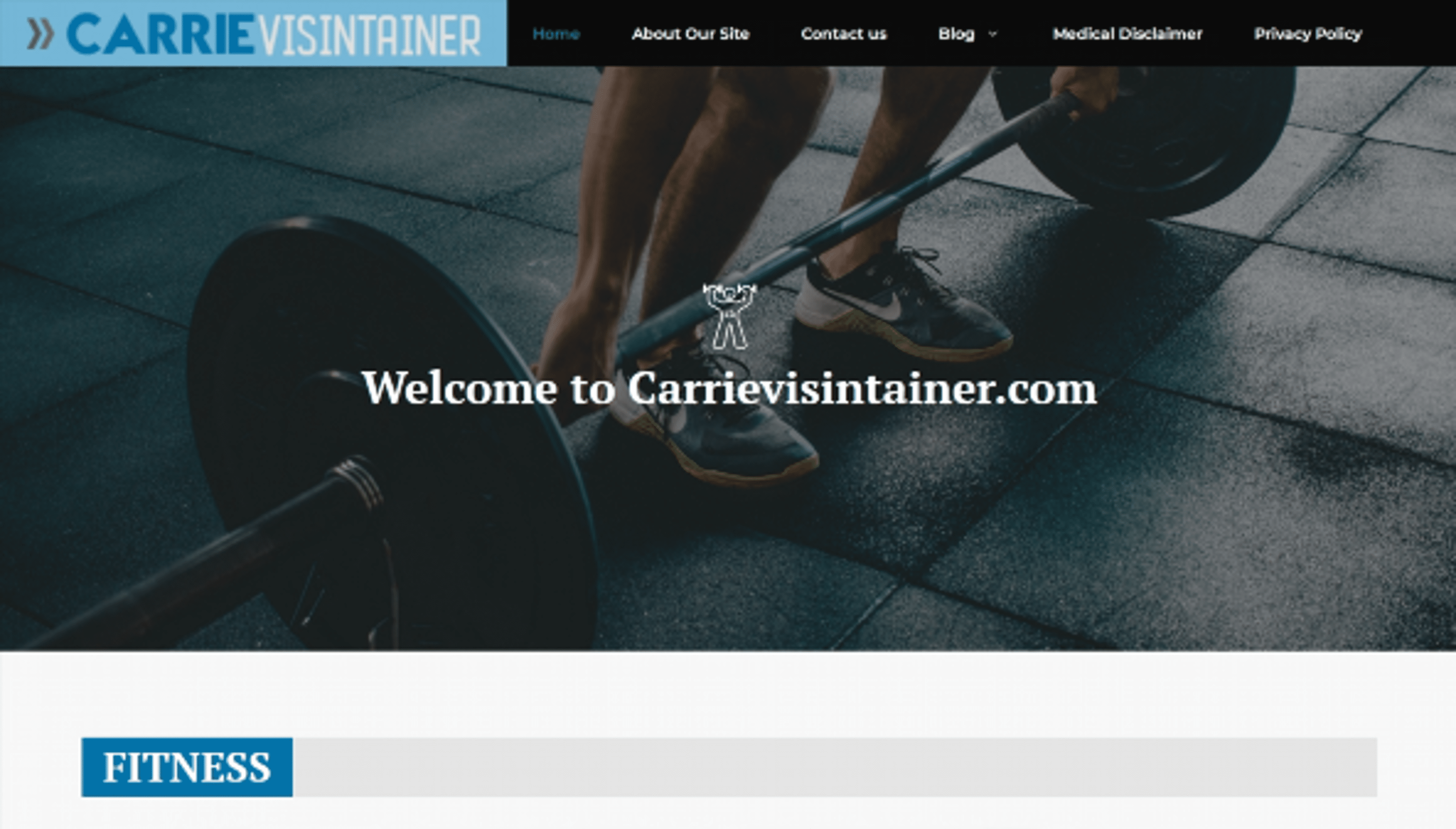 carrievisintainer.com