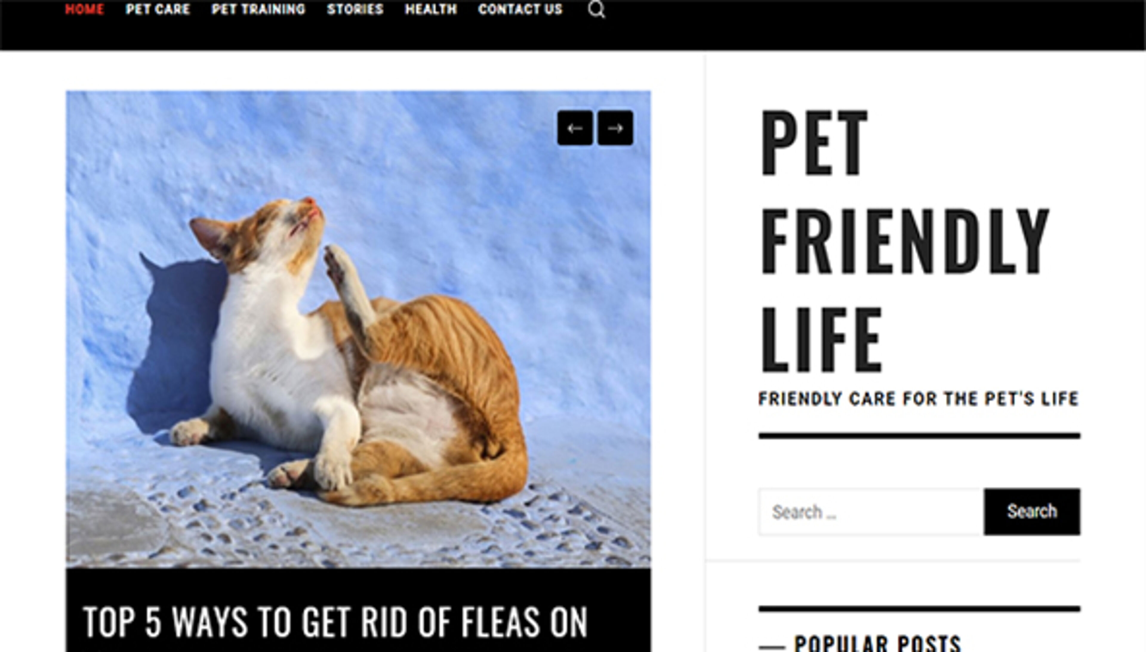 Лагеря Катскилл (catskillcamps.com)