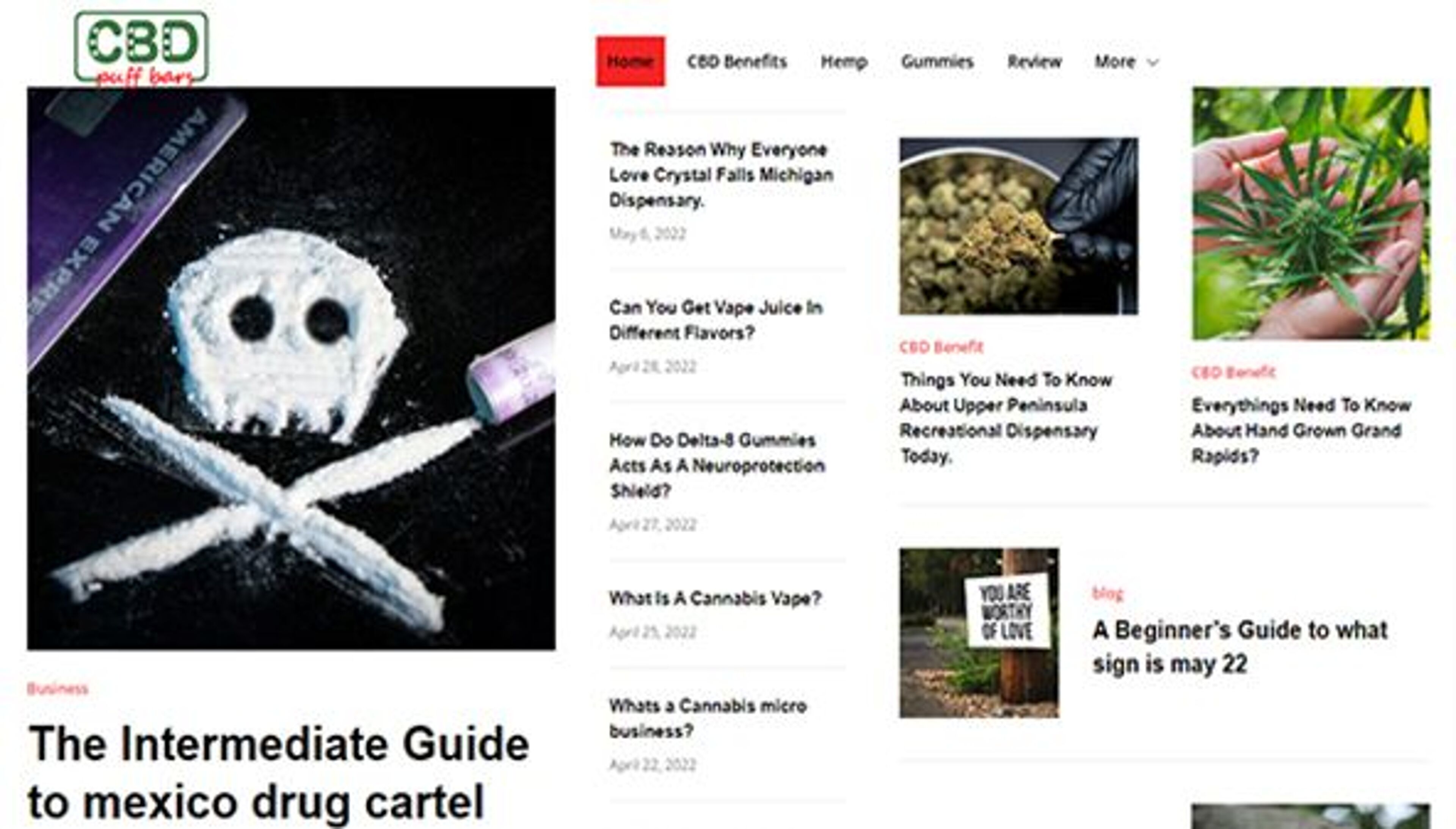 Barras de CBD Puff (cbdpuffbars.com)