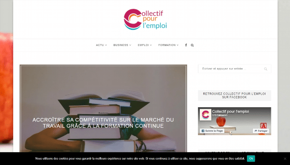 collectifpourlemploi.com