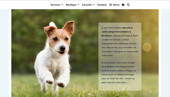 comportementaliste-gironde.fr