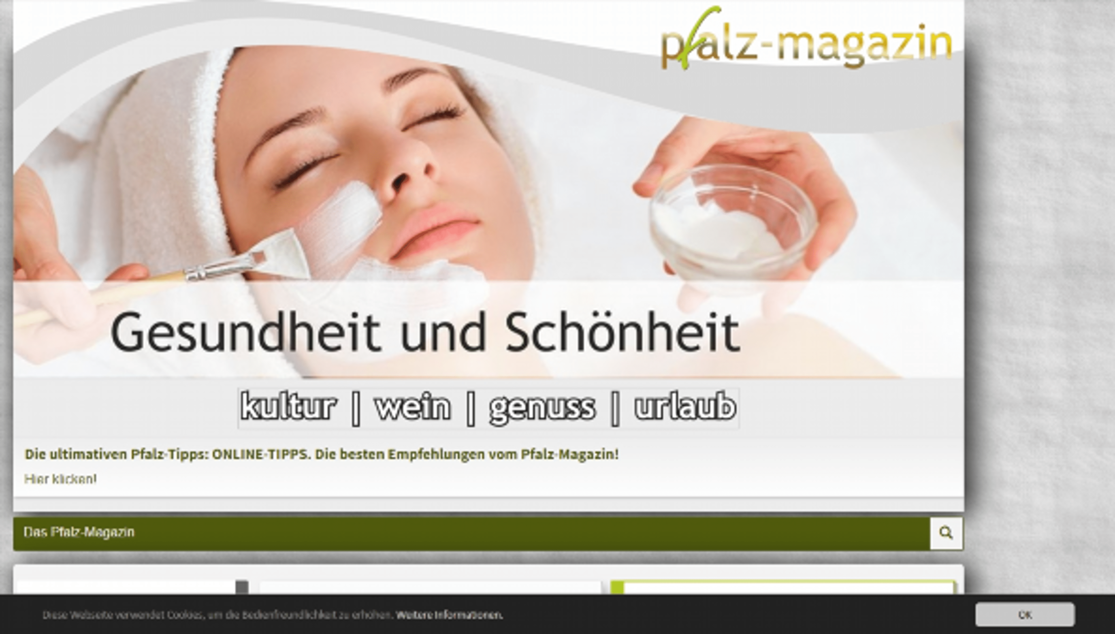 das-pfalz-magazin.de