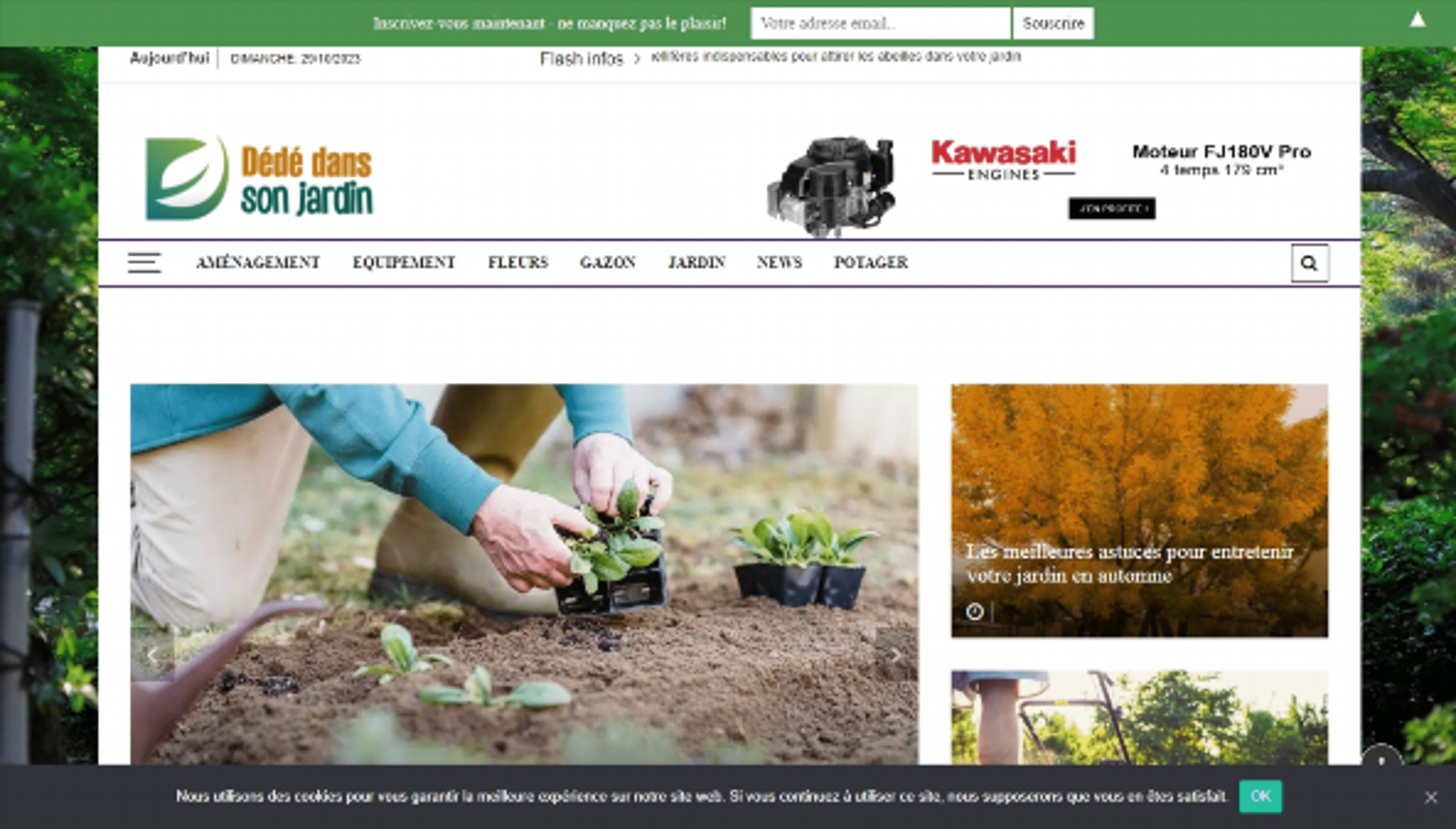 dededanssonjardin.com