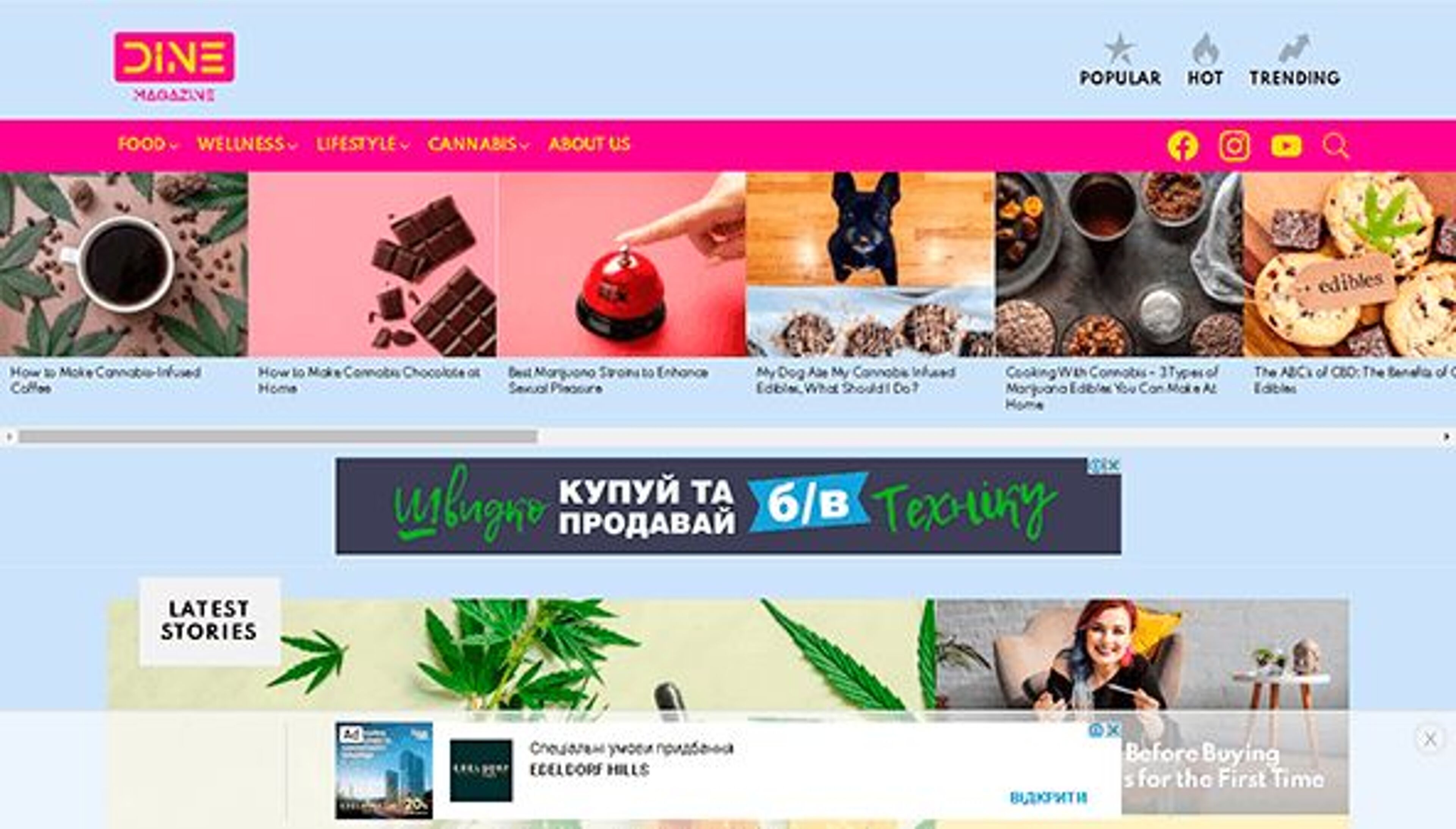 مجلة العشاء (dinemagazine.com)