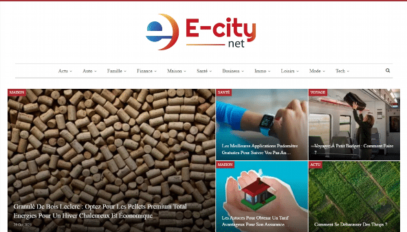 e-citynet.com