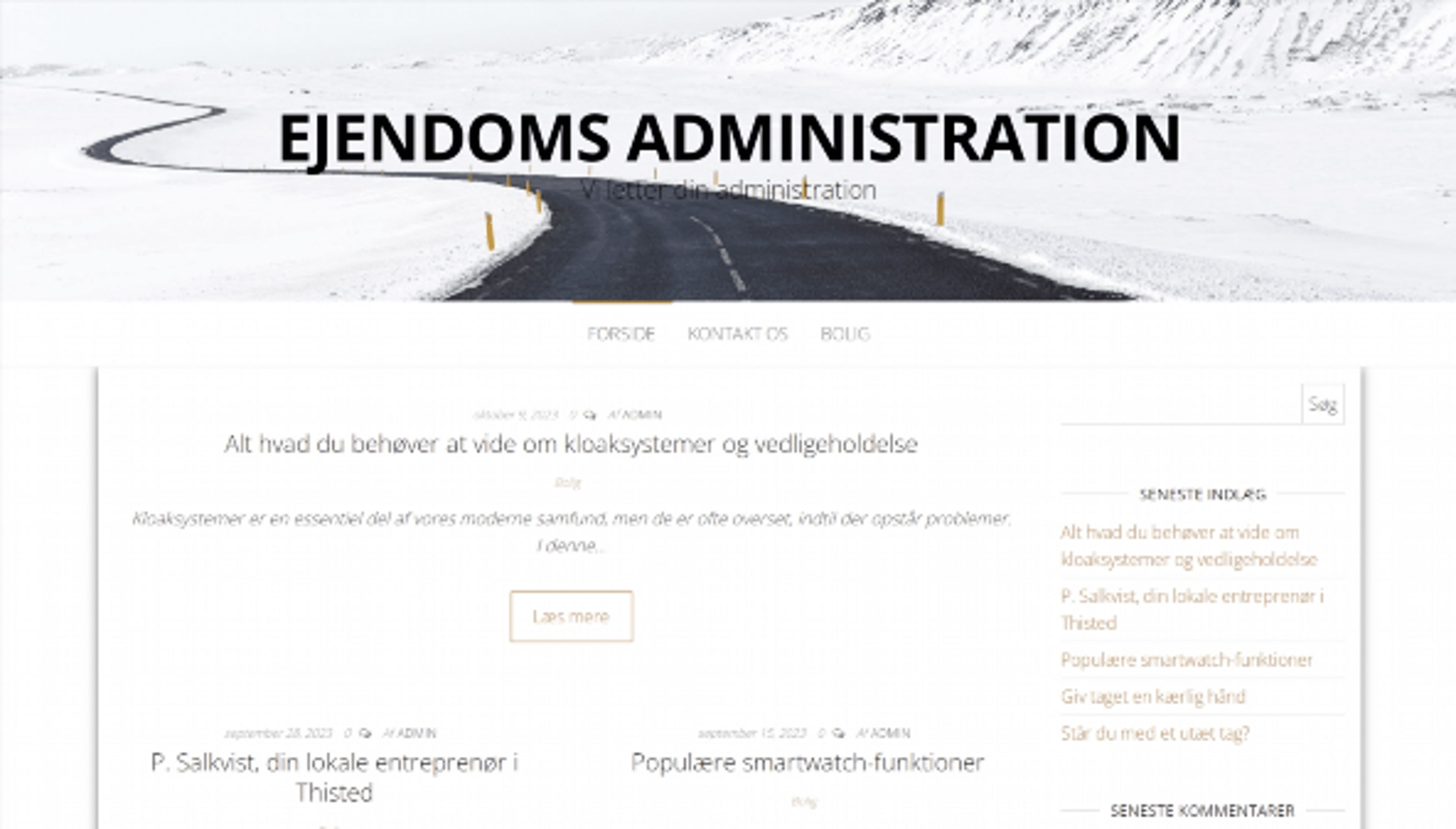 Ingatlankezelés (ejendomsf.dk)