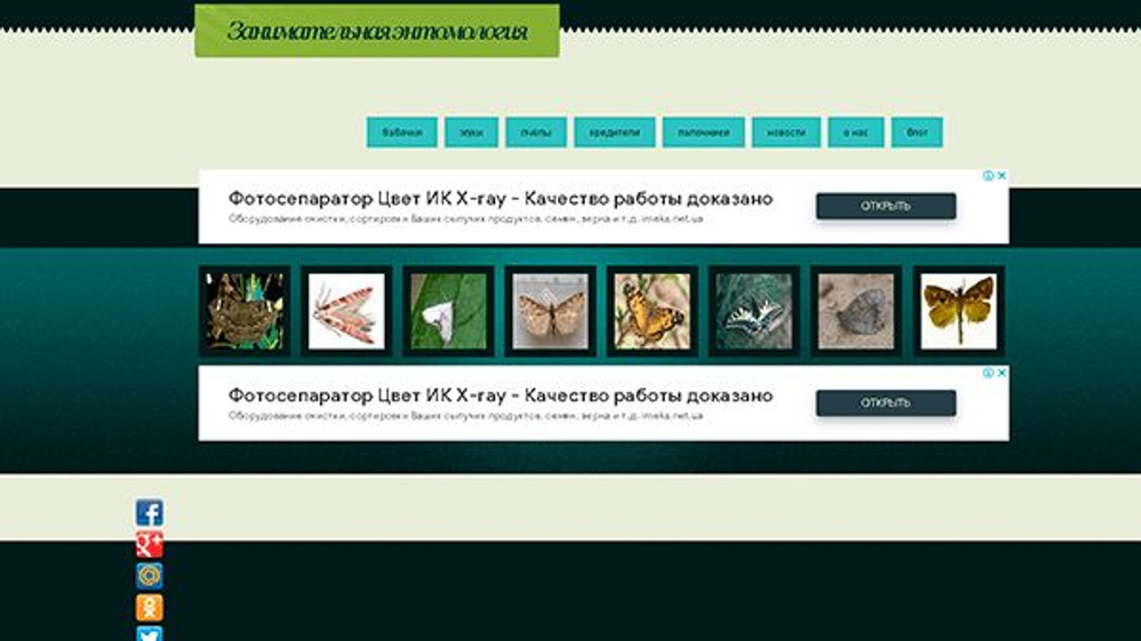 علم الحشرات (entomolog.info)
