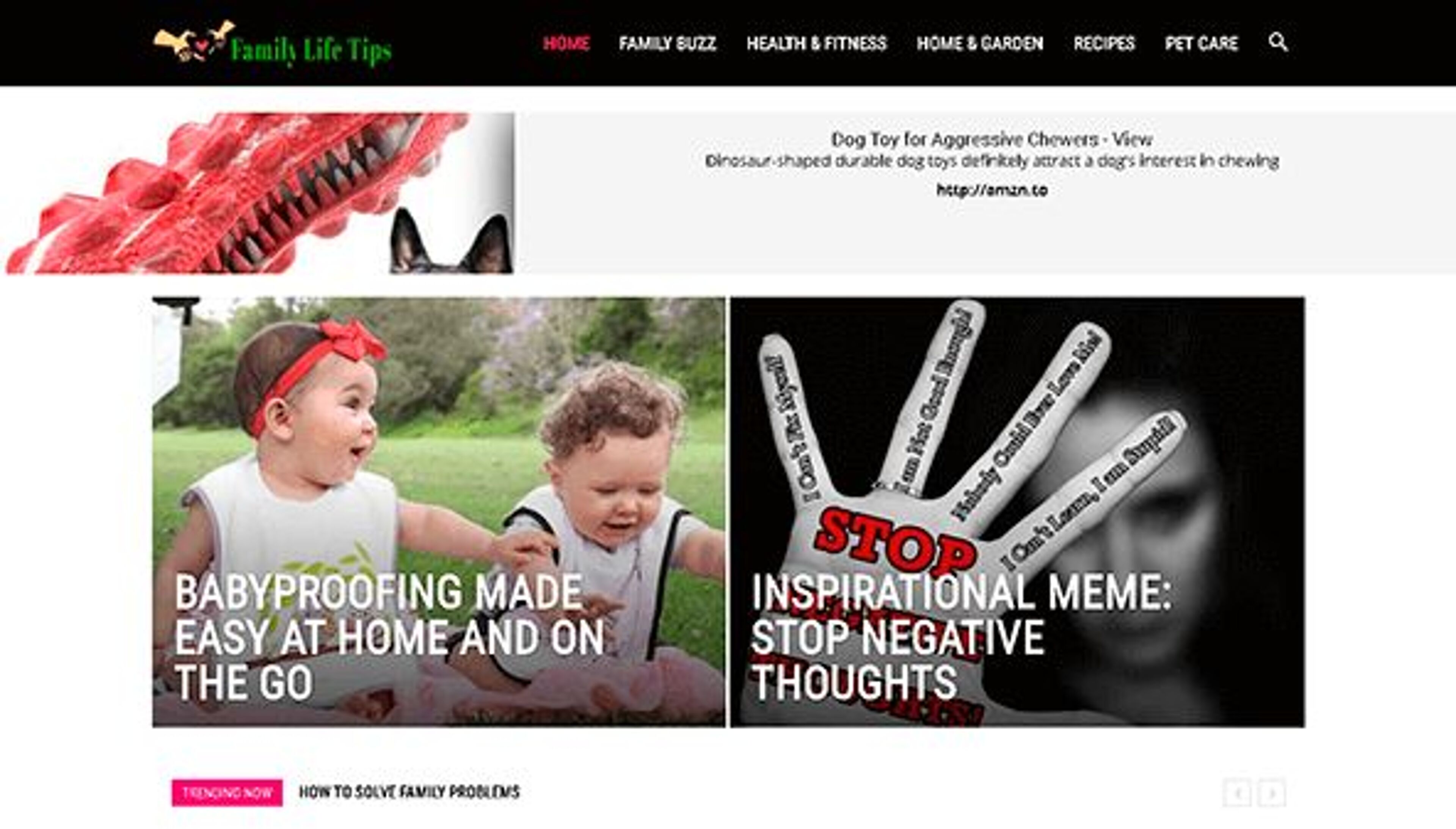 Šeimos gyvenimo patarimai (familylifetips.com)