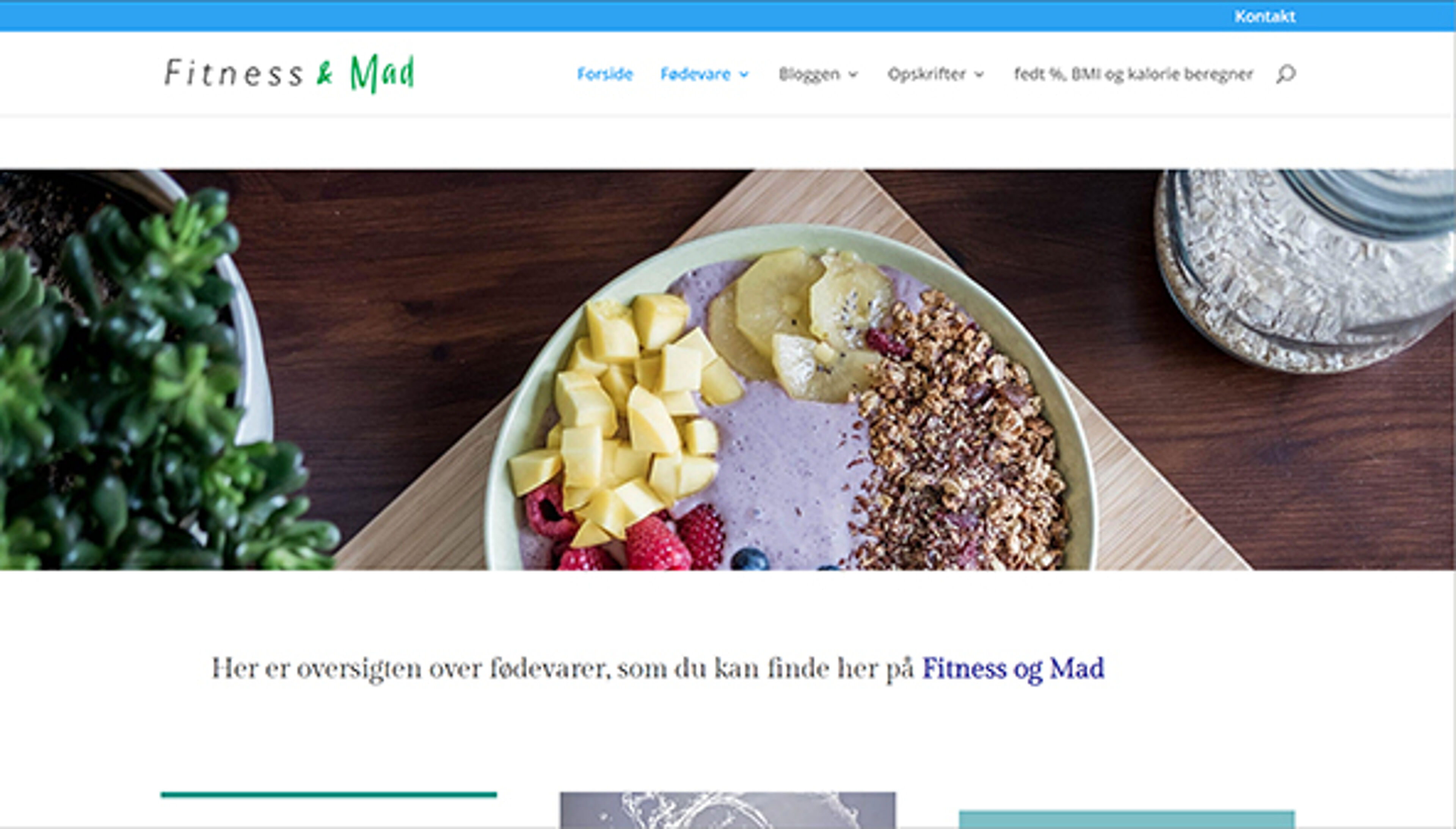 fitnessogmad.dk