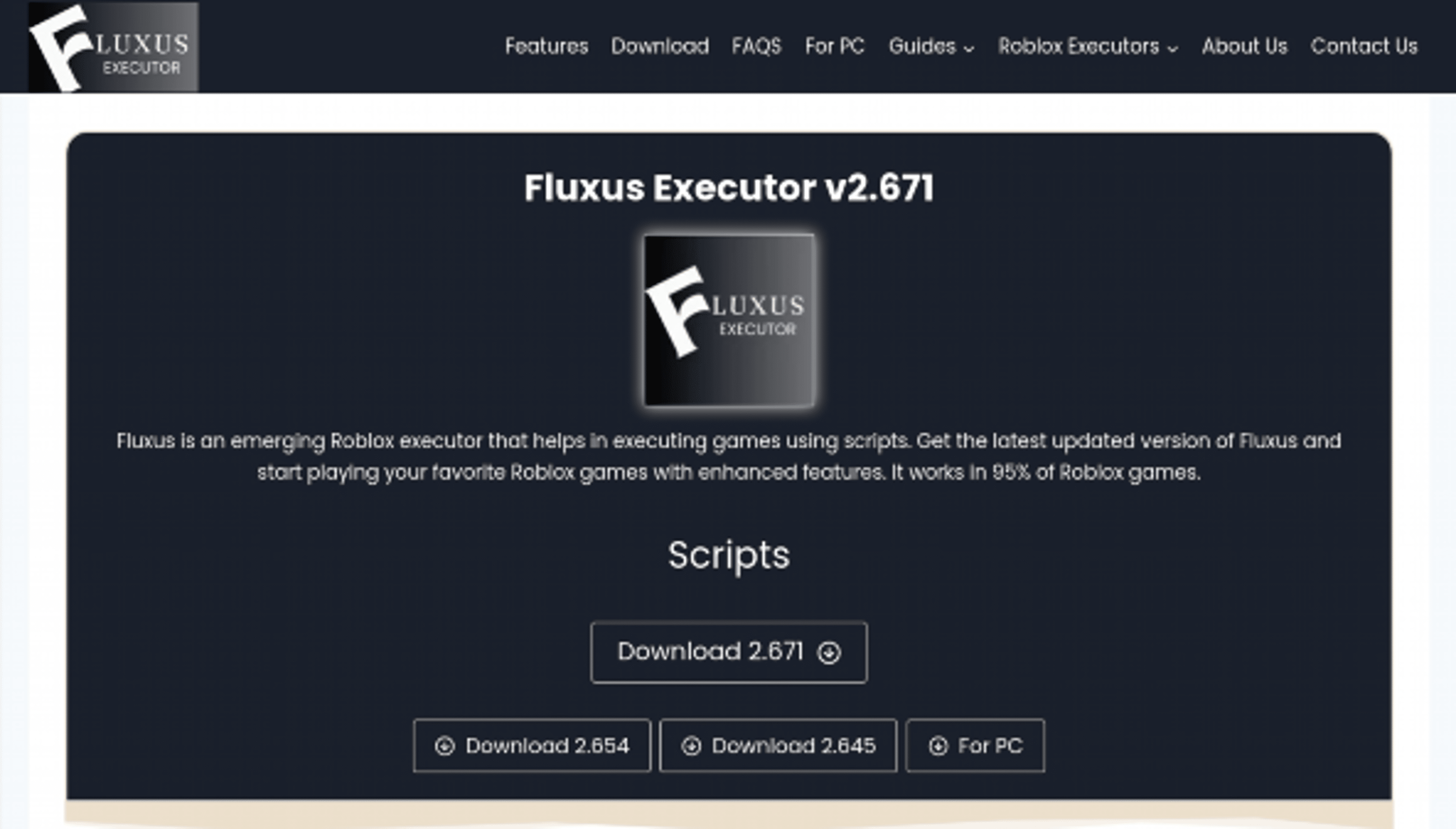 fluxusexec.com