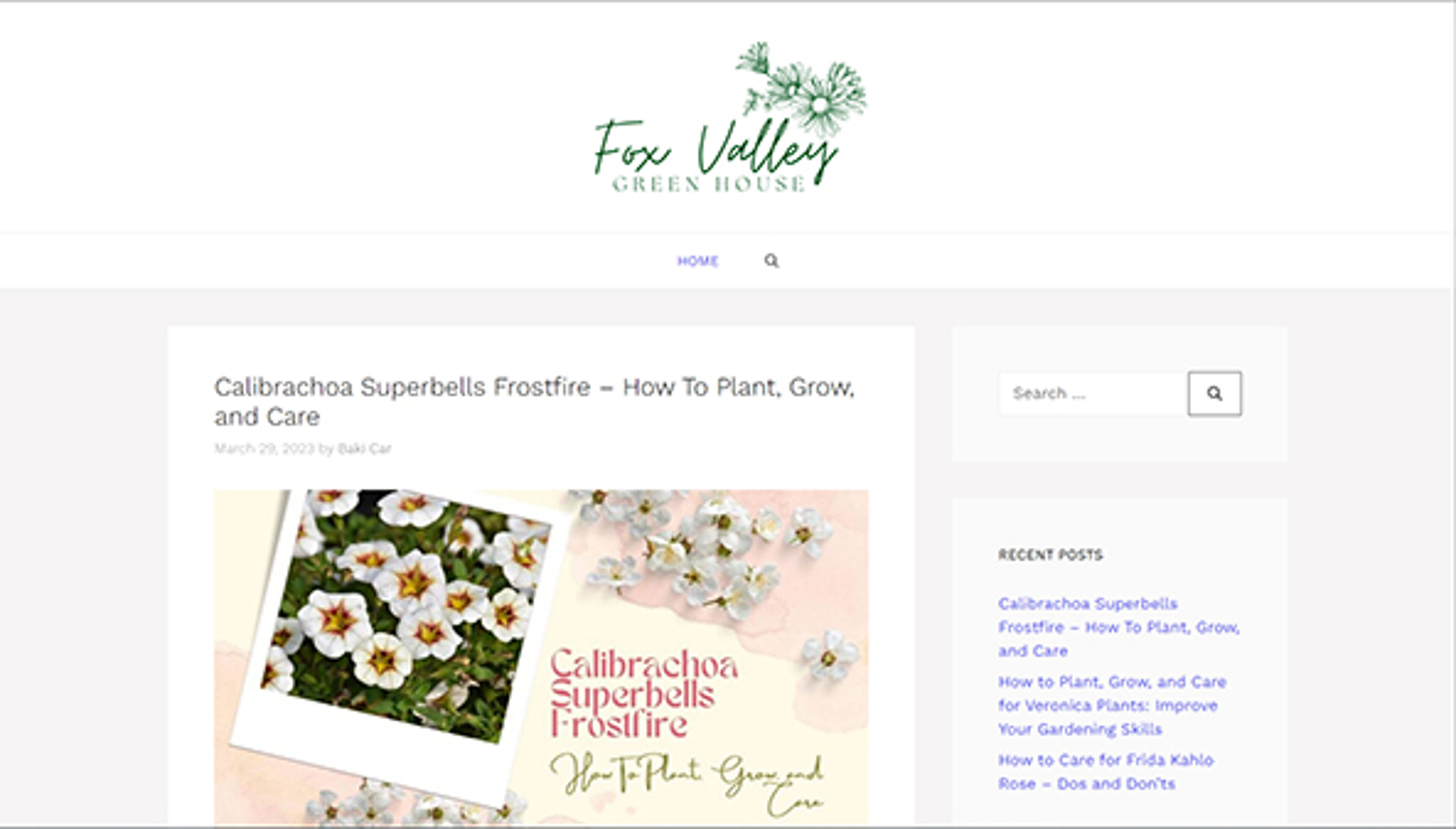 foxvalleygreenhouse.com
