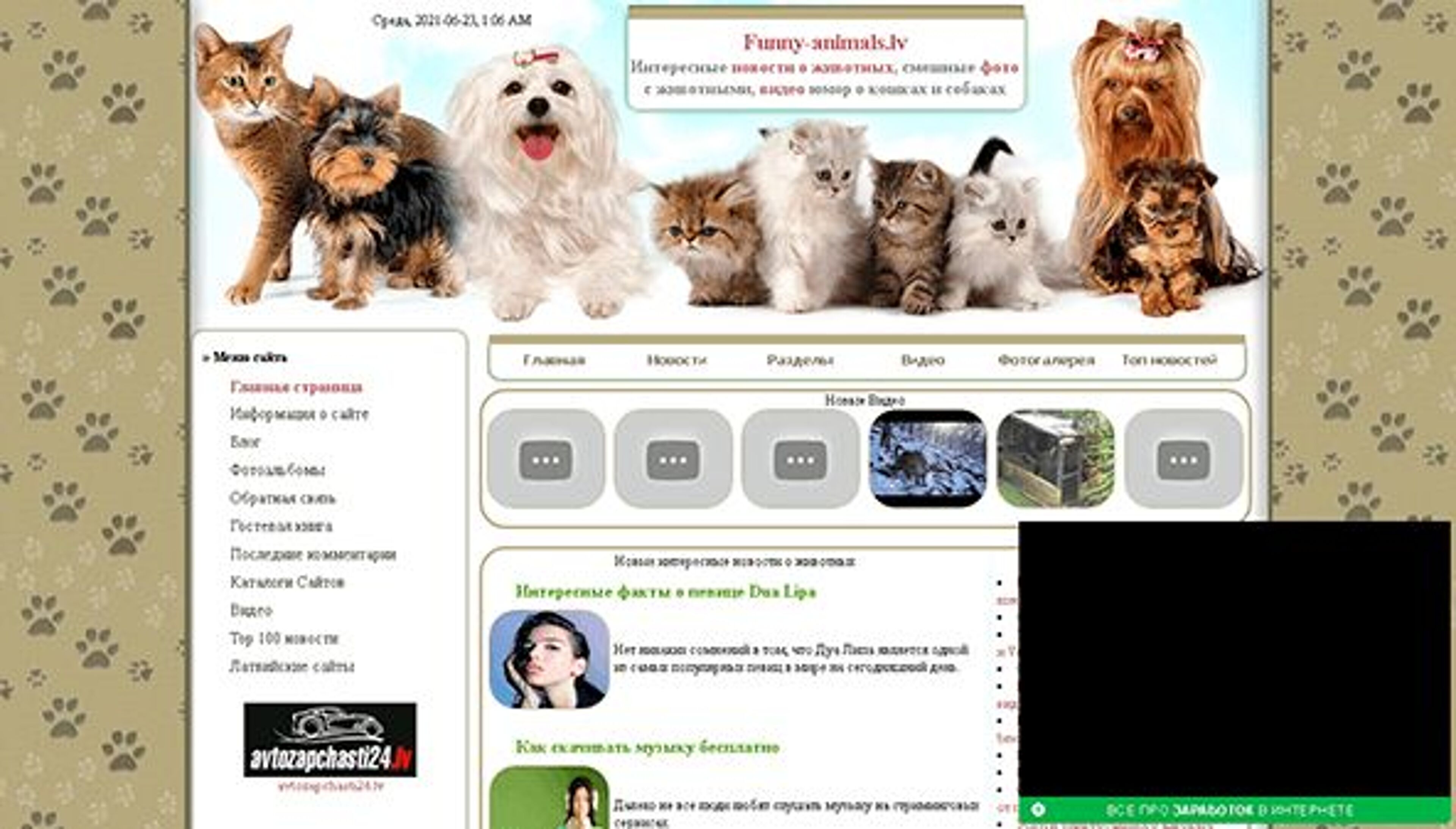 Смешные животные (Латвия) (funny-animals.lv)