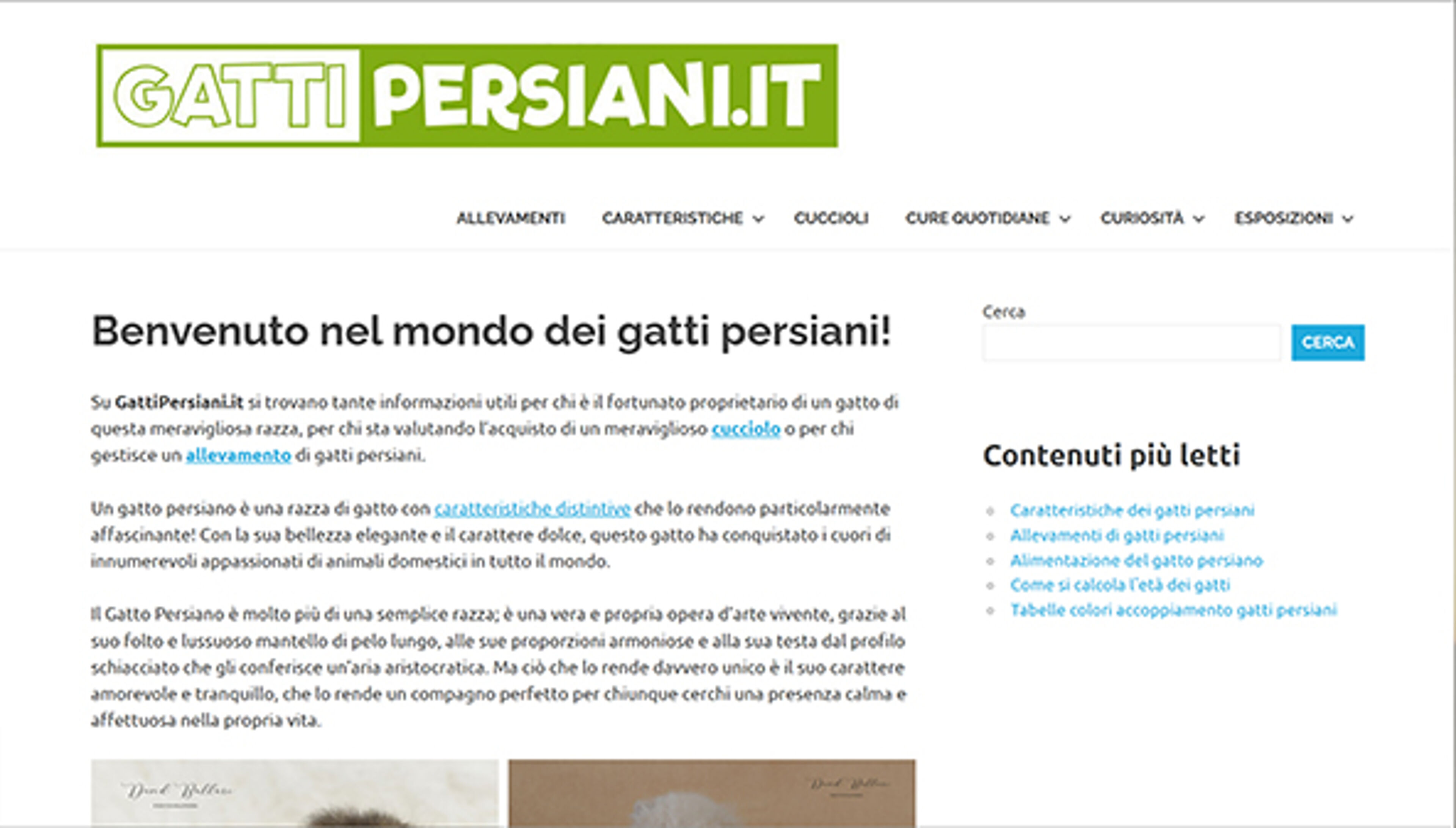 gattipersiani.it