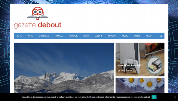 gazettedebout.org
