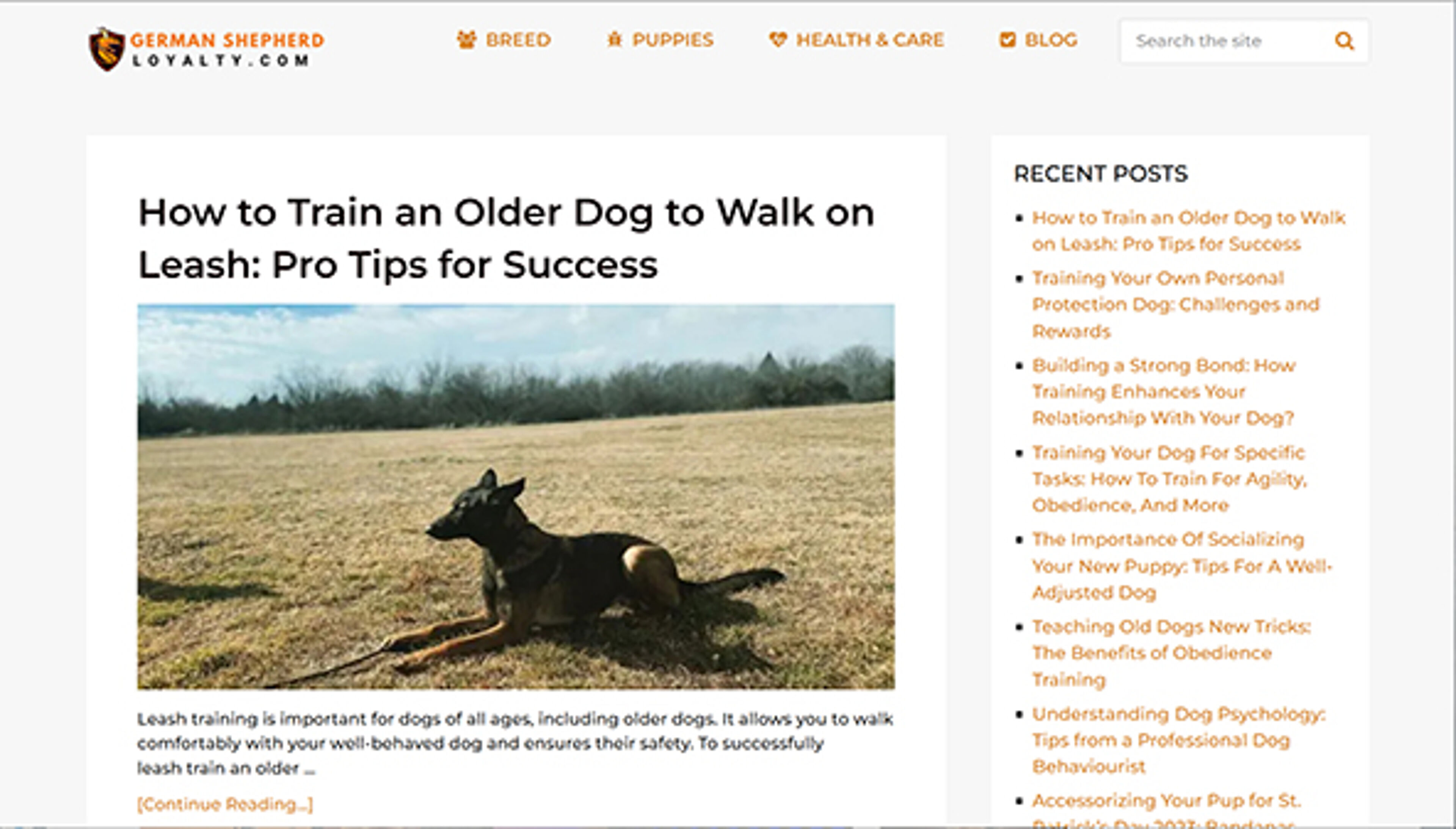 germanshepherdloyalty.com